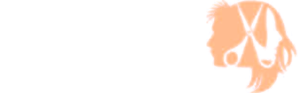 Logo P-TWINS BEAUTY SPA